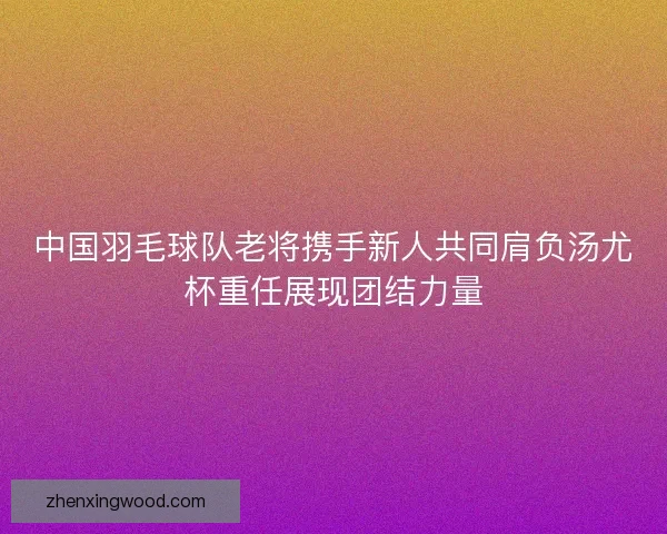 中国羽毛球队老将携手新人共同肩负汤尤杯重任展现团结力量