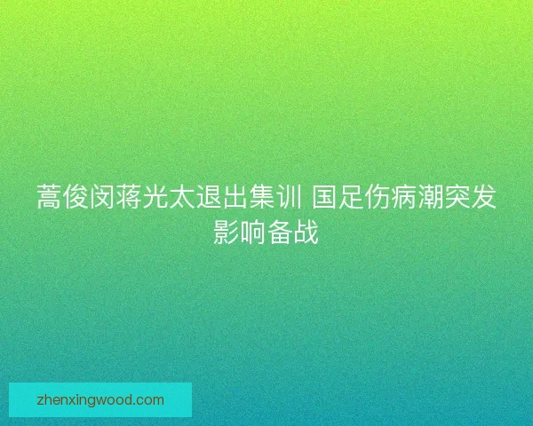 蒿俊闵蒋光太退出集训 国足伤病潮突发影响备战